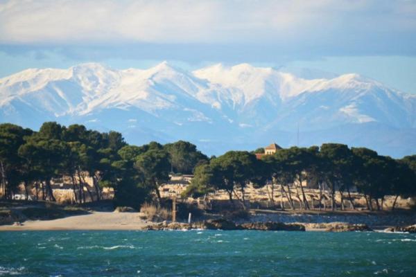 Appartement Mona *